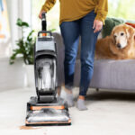 Carpet Cleaning