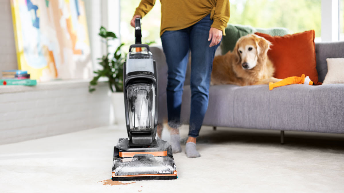 Step-by-Step Professional Carpet Cleaning Excellence